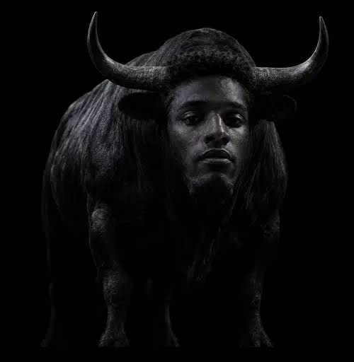the original coin profile picture, a crisp, properly made image of a black bull